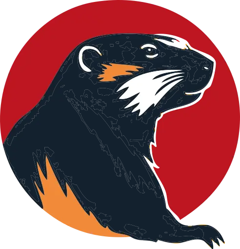 Helvethink - Training